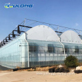 multi-span film vegetables greenhouse with hydroponic system